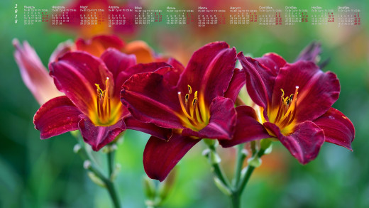 1266279 (a): :3840x2160
